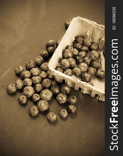Blueberries in Sepia Processing For Vintage Look