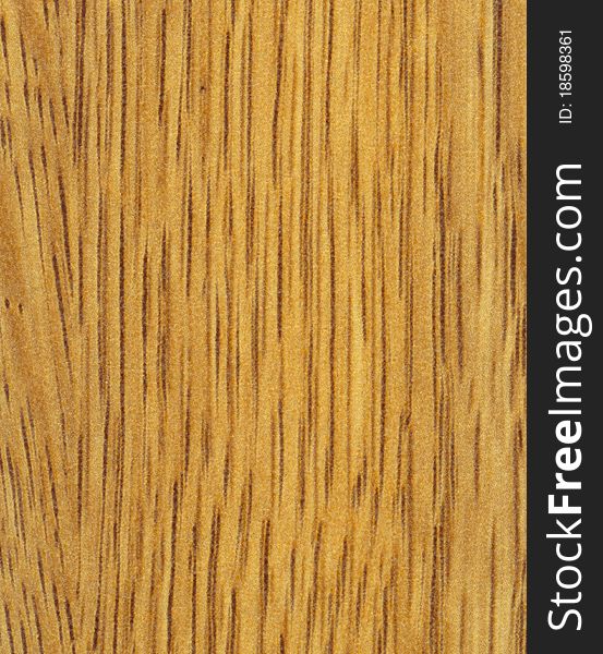 Background textured wood of Oregon Oak tree. Background textured wood of Oregon Oak tree.