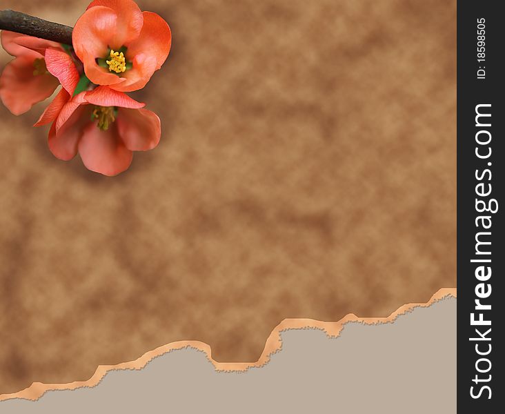 Old paper background with red flower illustration