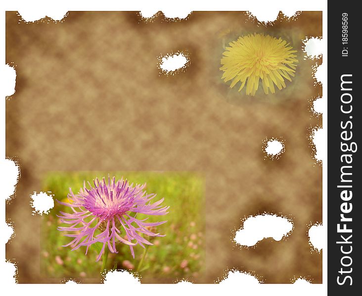 Old paper background with dandelion and other flower illustration