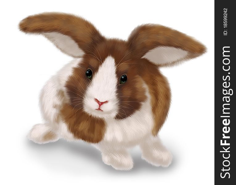 Realistic drawn rabbit on white background