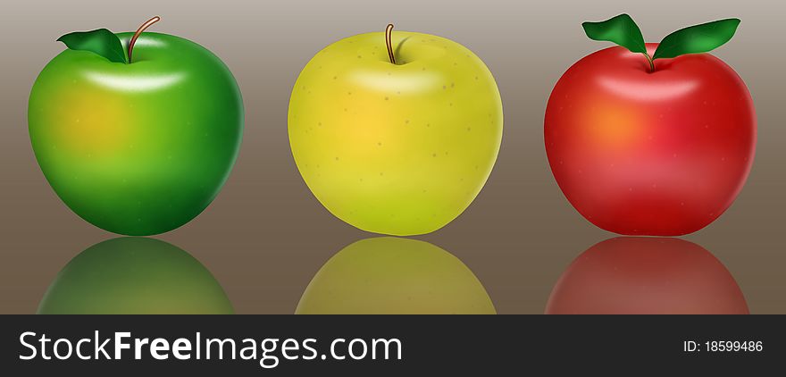 Drawn realistic varicoloured apples. Illustration