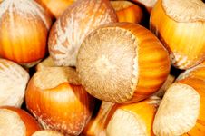 Hazel Nuts. Stock Photography Hazel Nuts. Stock Photography