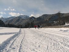 Cross-country Ski Run Royalty Free Stock Photo Cross-country Ski Run Royalty Free Stock Photo