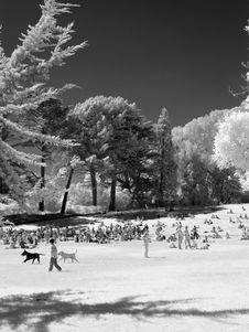 Weekend In The Park Stock Photo Weekend In The Park Stock Photo