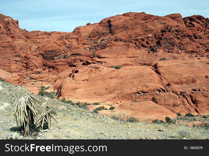 A colorful, useful desert scene.