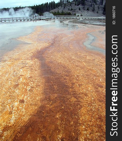 Hot Geyser in yellow stone on a summer day