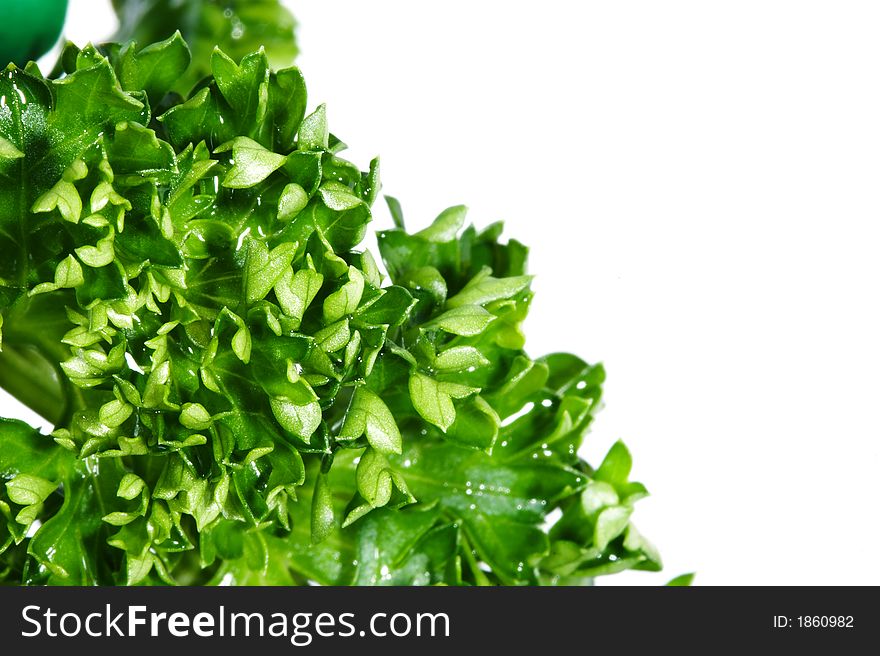 Green leaves isolated over white background