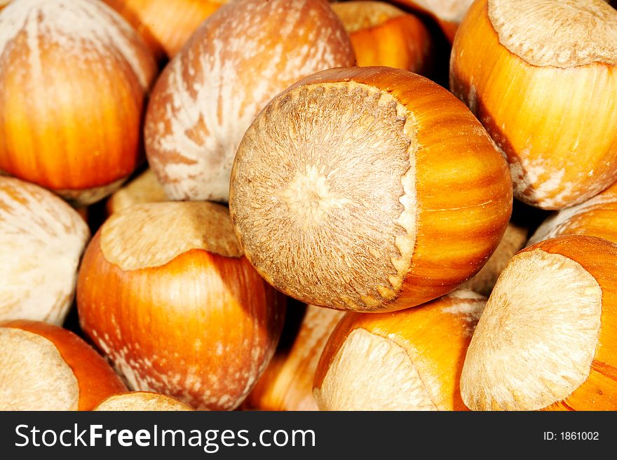 Hazel nuts. Close up. Macro