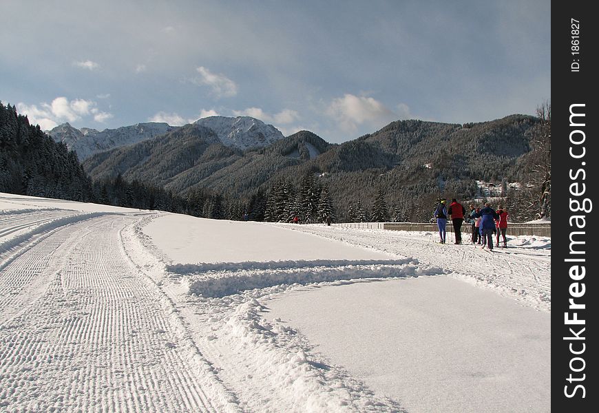 Beautiful winter landscape showing a cross-country ski run