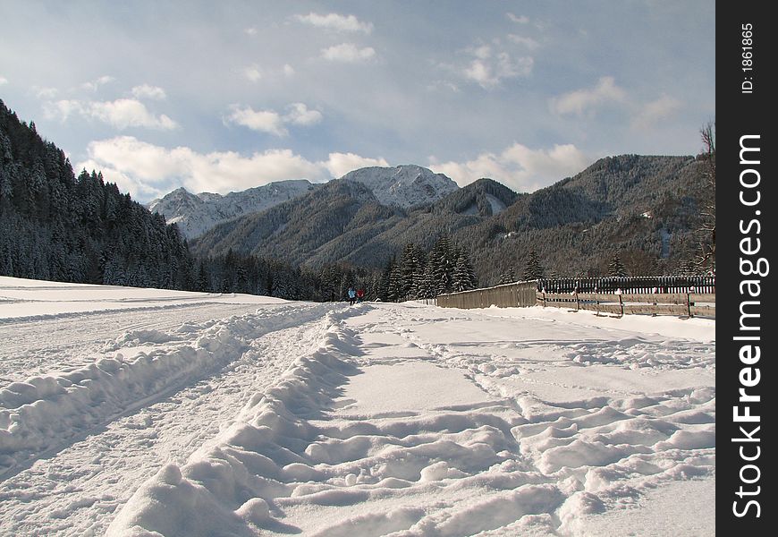 Beautiful winter landscape showing a cross-country ski run