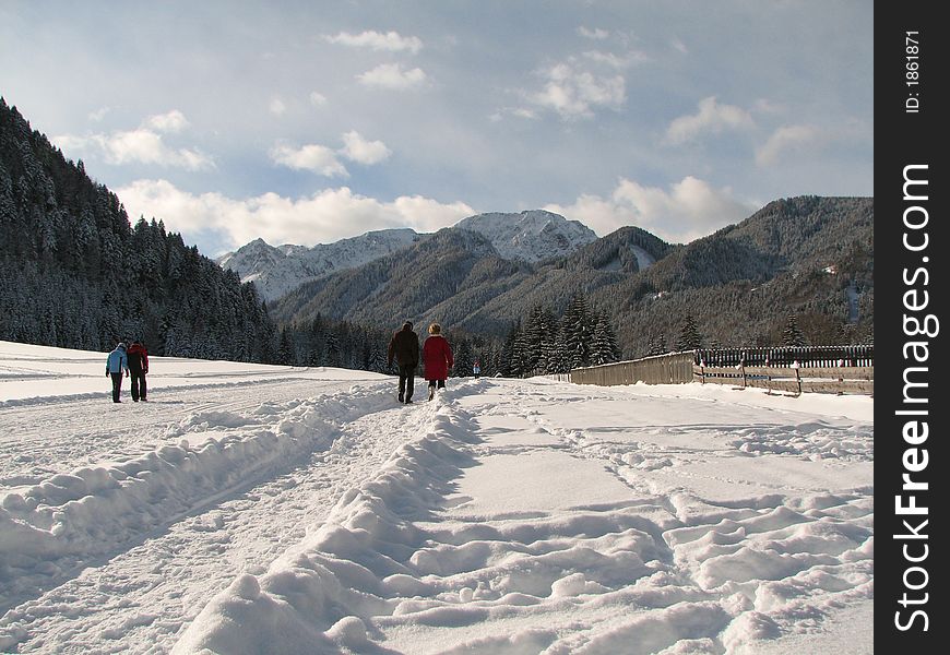 Beautiful winter landscape showing a cross-country ski run with people skiing