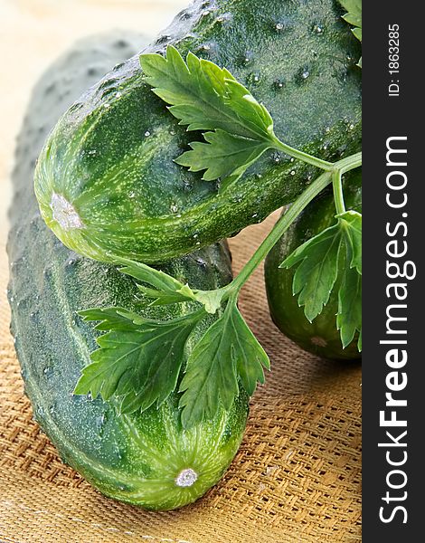 Ripe Green Cucumbers