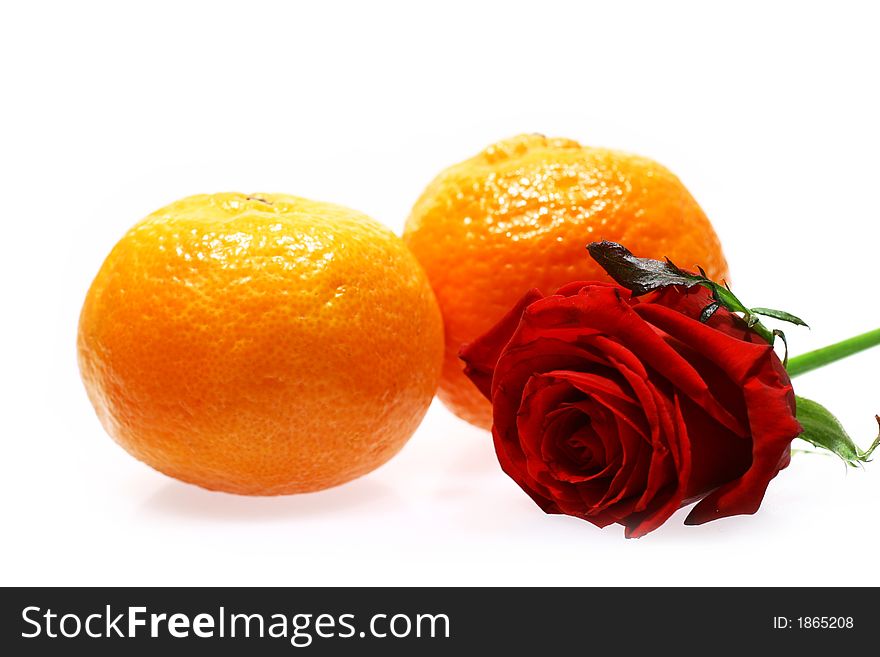 Red rose and mandarines isolated on white background