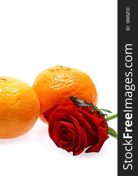 Rose And Mandarines