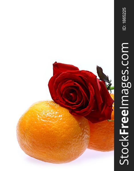 Rose and mandarines