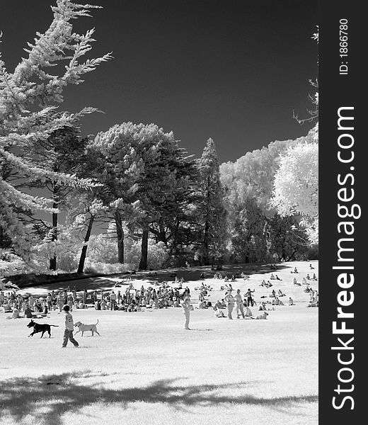 People hanging out in the city park infrared black and white. People hanging out in the city park infrared black and white.