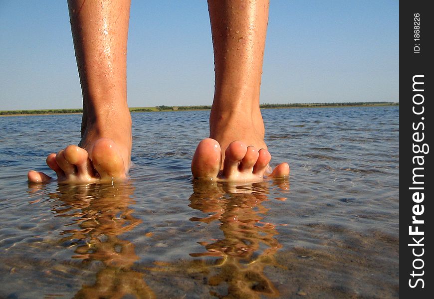 Two legs in a estuary of Azov Sea (Ukraine). Two legs in a estuary of Azov Sea (Ukraine)