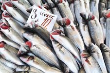 Fish Market Royalty Free Stock Image Fish Market Royalty Free Stock Image