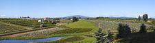 Agricultural Landscape Panorama, Oregon. Royalty Free Stock Images