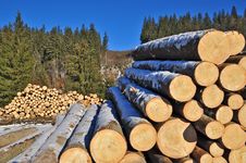 Wood Preparation. Royalty Free Stock Photo Wood Preparation. Royalty Free Stock Photo