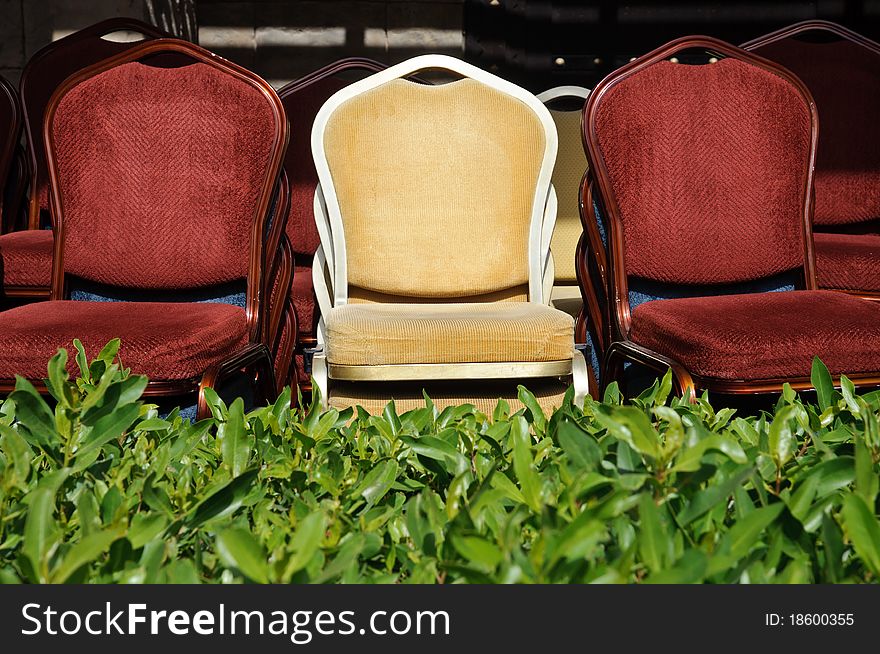 Thee chairs are standing in bushes. Thee chairs are standing in bushes