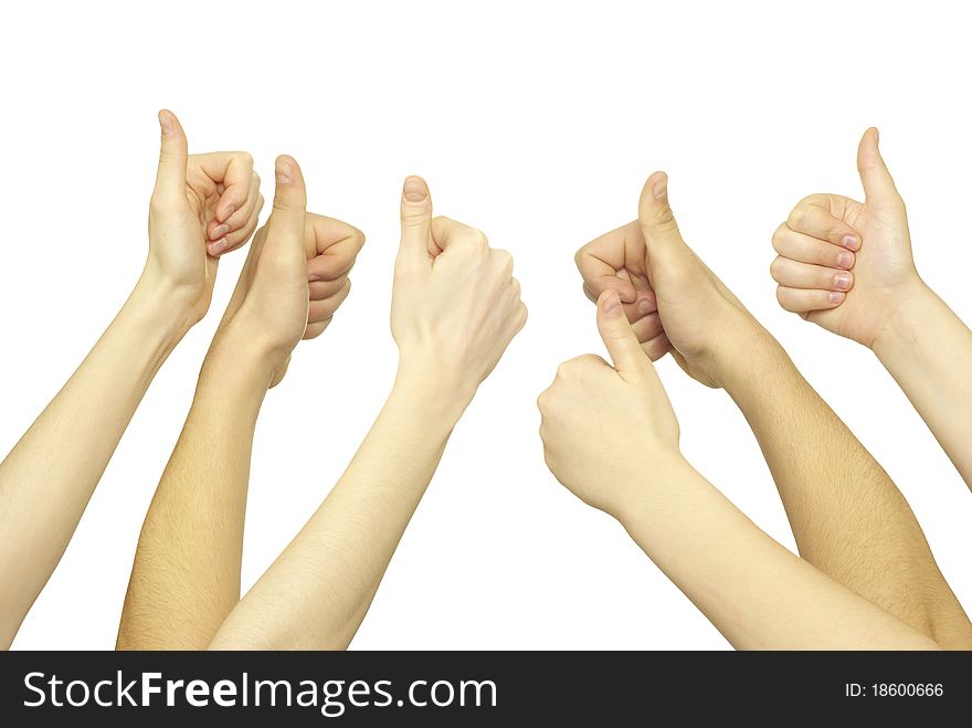 Many hand lifted up on white background