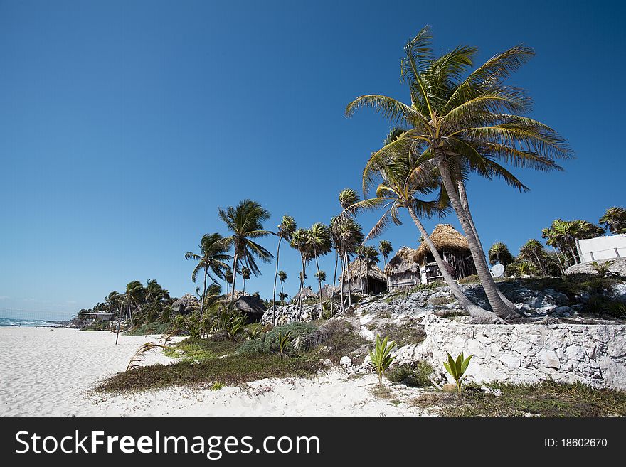 Beach bungalows on a tropical island on the East Coast of Mexico