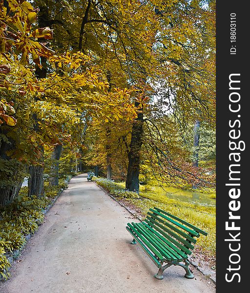 Empty green bench in the autumnal park.