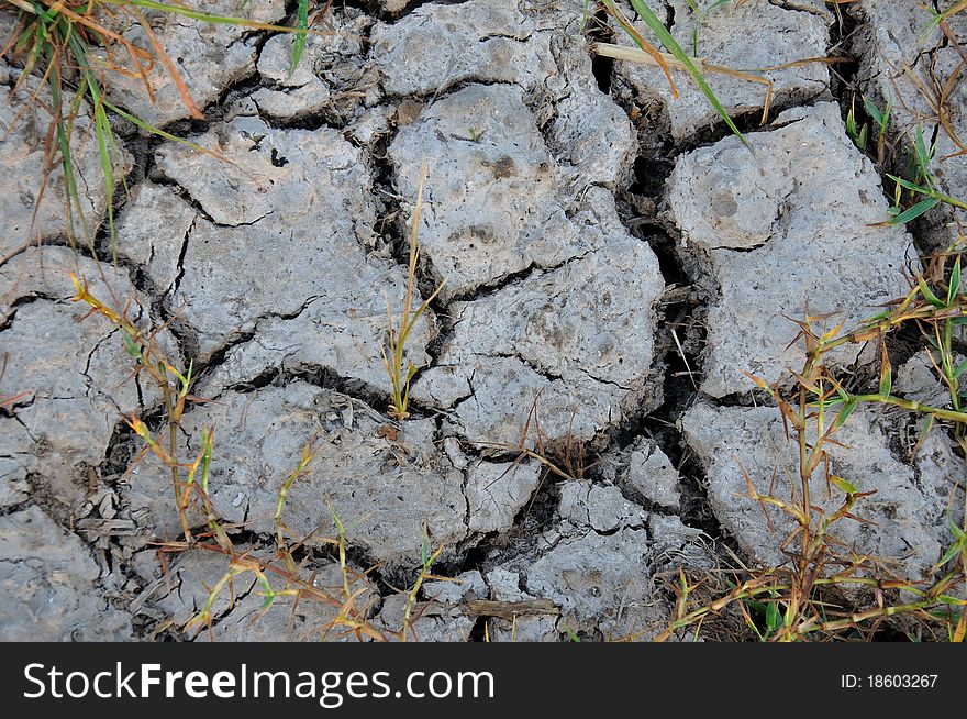 Textures and patterns of a cracked dry soil with dried grass