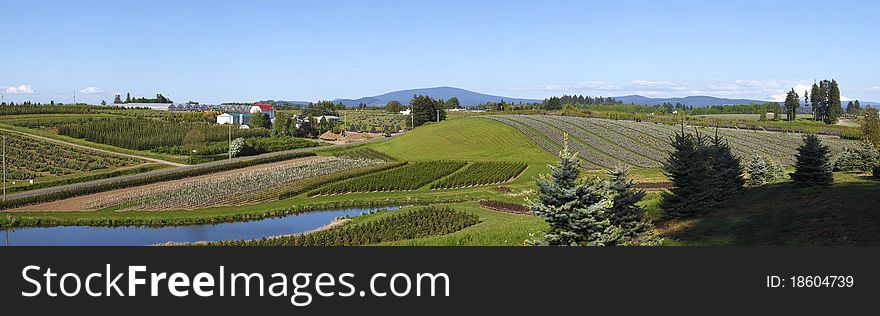 Agricultural Landscape Panorama, Oregon.