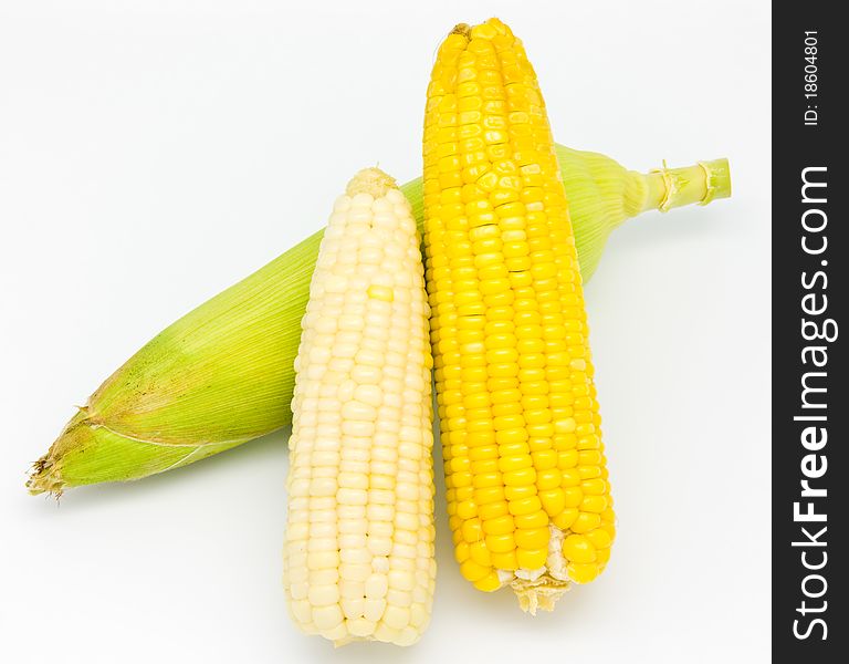 Fresh corn on white background