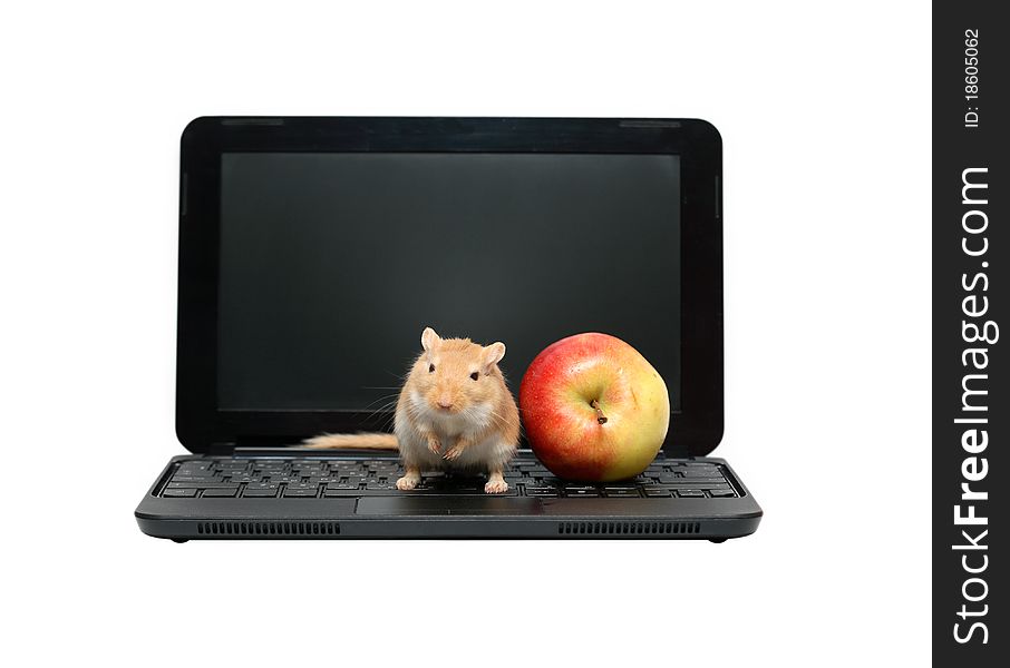 Mouse And Apple On Laptop