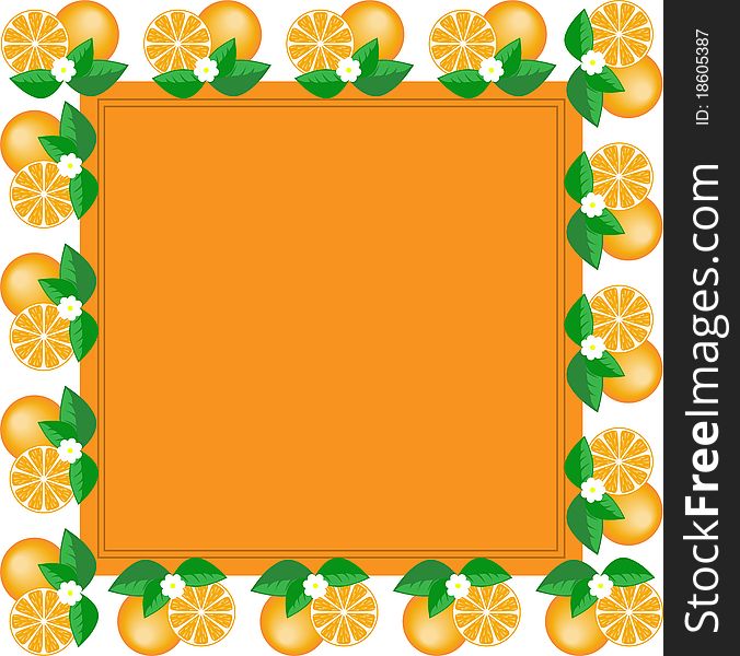 Orange square frame made of fruit and orange flower. Orange square frame made of fruit and orange flower
