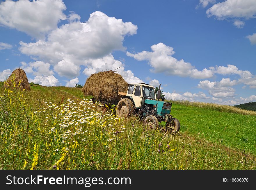 A tractor with the trailer the loaded hay in a summer rural landscape with a young clover and white clouds. A tractor with the trailer the loaded hay in a summer rural landscape with a young clover and white clouds