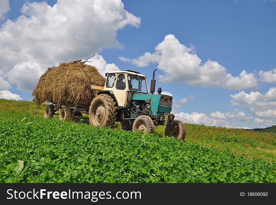 A tractor with the trailer the loaded hay in a summer rural landscape with a young clover and white clouds. A tractor with the trailer the loaded hay in a summer rural landscape with a young clover and white clouds