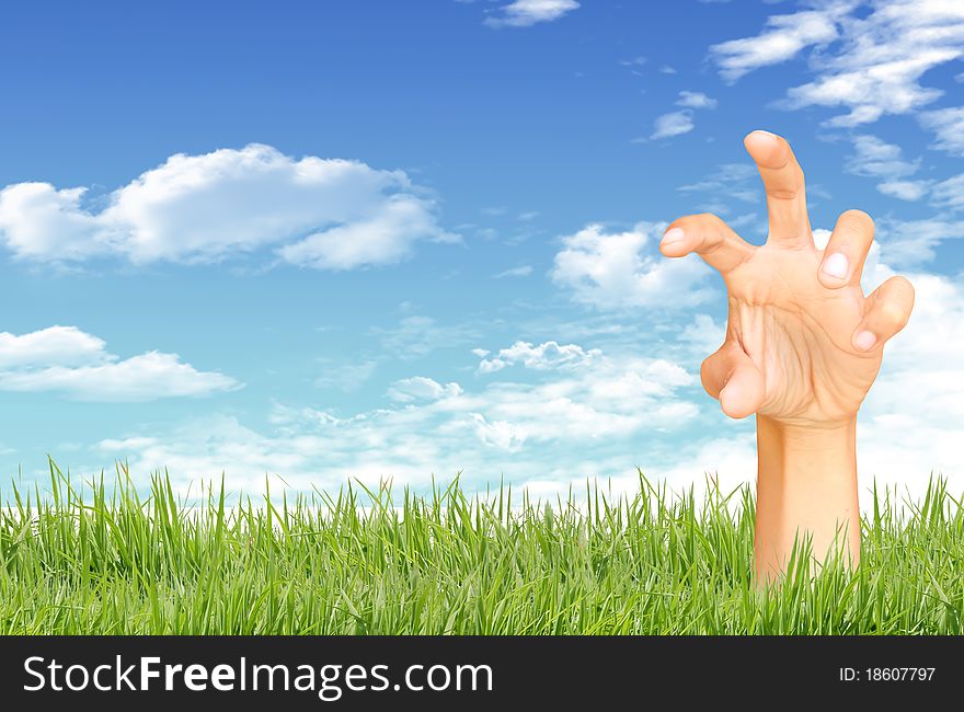 Green Grass, Blue Sky And  Hand