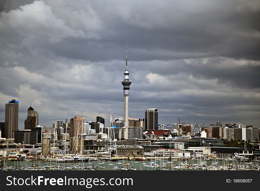 New Zealand Auckland City Harbour Skyline