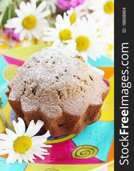 Tasty dessert/chocolate cake with the powdered sugar