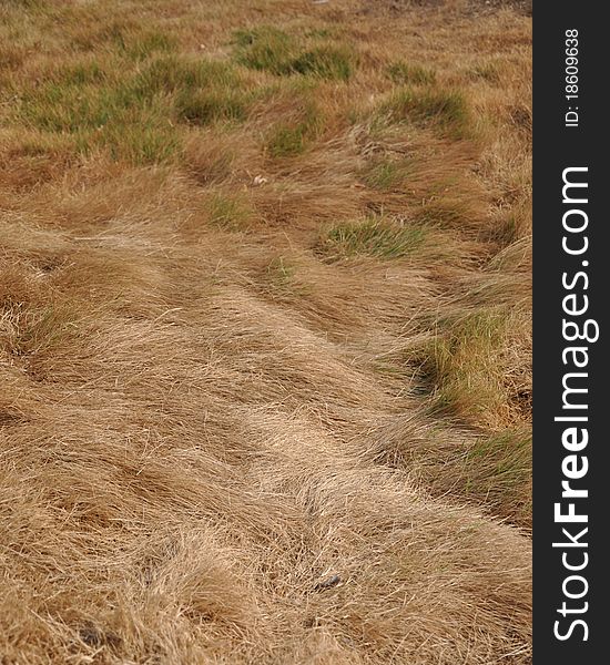 A dry grassland in rural Thailand.Northeast of Thailand. A dry grassland in rural Thailand.Northeast of Thailand