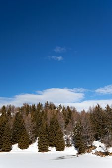 Icy Lake Royalty Free Stock Images