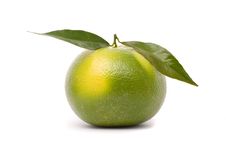 Grapefruit Royalty Free Stock Photo Grapefruit Royalty Free Stock Photo