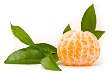 Juicy Tangerine Royalty Free Stock Image Juicy Tangerine Royalty Free Stock Image