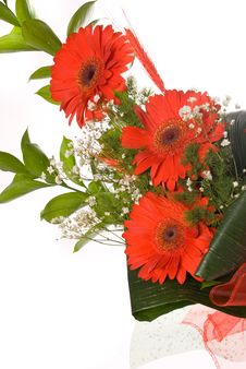 Magnificent Bouquet Stock Images Magnificent Bouquet Stock Images