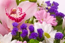 Magnificent Bouquet Royalty Free Stock Photos Magnificent Bouquet Royalty Free Stock Photos