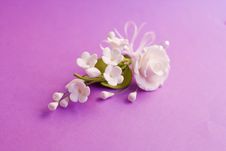White Flowers  On Purple Background Royalty Free Stock Images