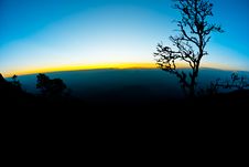 Silhouettes Of Branches, Dead Trees Royalty Free Stock Photography Silhouettes Of Branches, Dead Trees Royalty Free Stock Photography