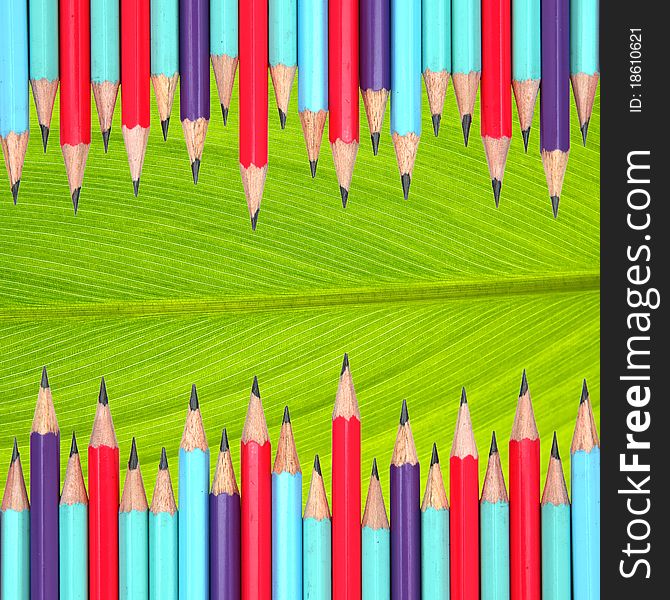 Colorful pencils frame on leaf background