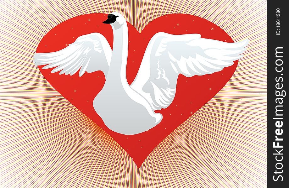 White Swan with my wings on the background of the heart. White Swan with my wings on the background of the heart