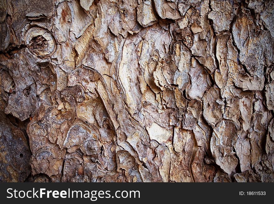 Old Bark Pattern